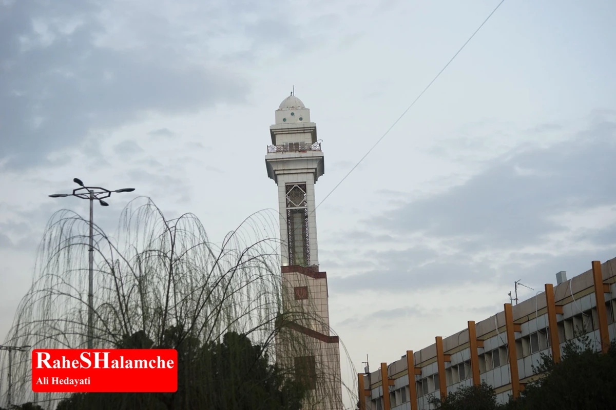 افتتاح نمایشگاه فرش دست‌بافت با حضور شهباز حسن‌پور در تهران +تصاویر