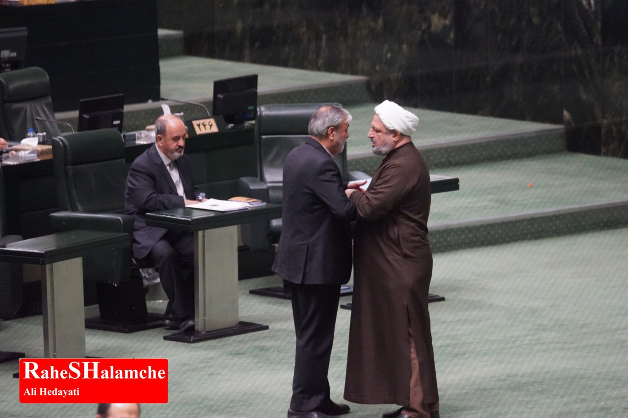 جلسه مجلس شورای اسلامی - عکس 8