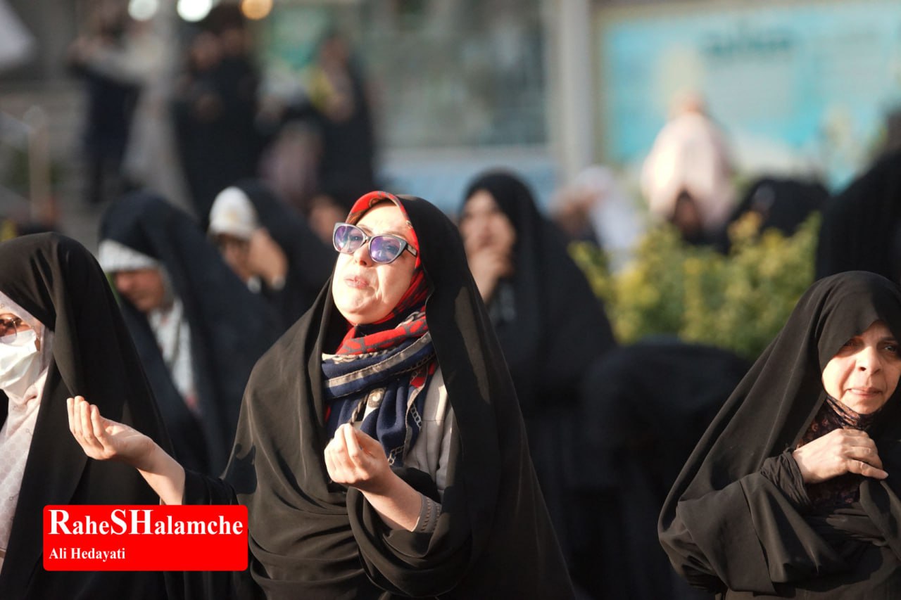 گزارش تصویری خبر - عکس 22