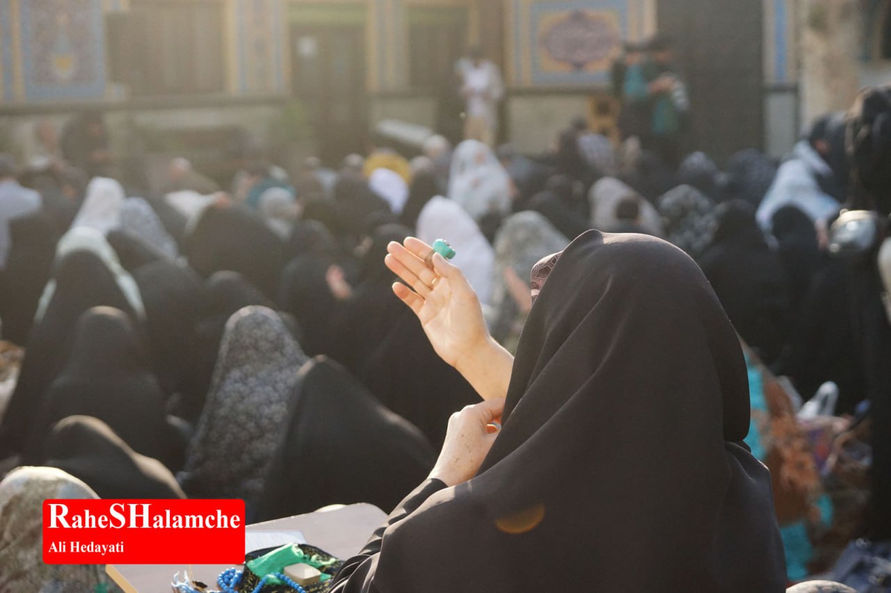 گزارش تصویری خبر - عکس 24