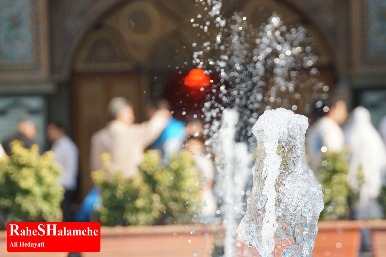 گزارش تصویری خبر - عکس 3