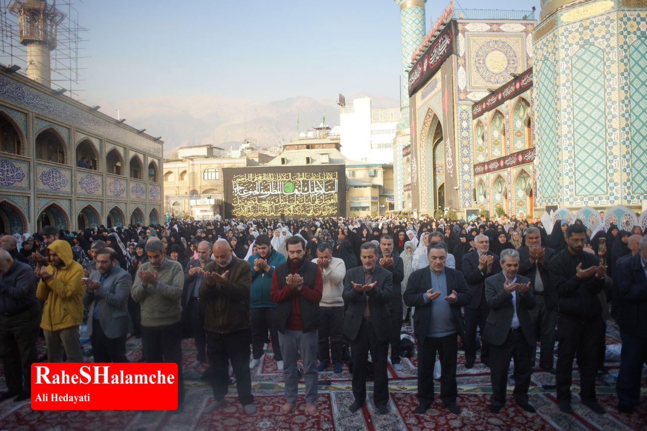 گزارش تصویری خبر - عکس 40