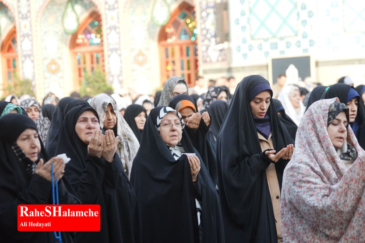 گزارش تصویری خبر - عکس 46