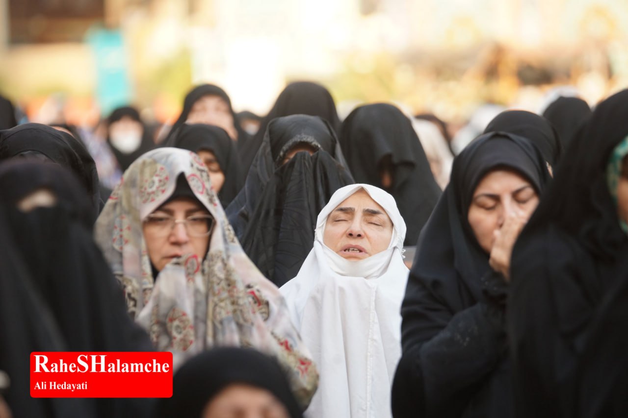 گزارش تصویری خبر - عکس 51