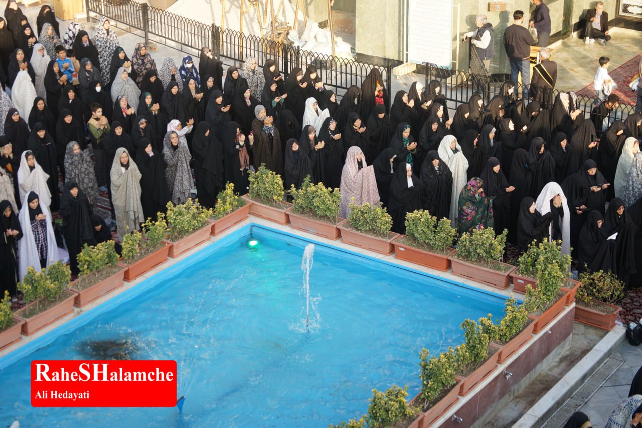 گزارش تصویری خبر - عکس 54