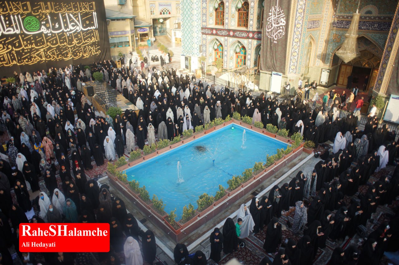 گزارش تصویری خبر - عکس 56