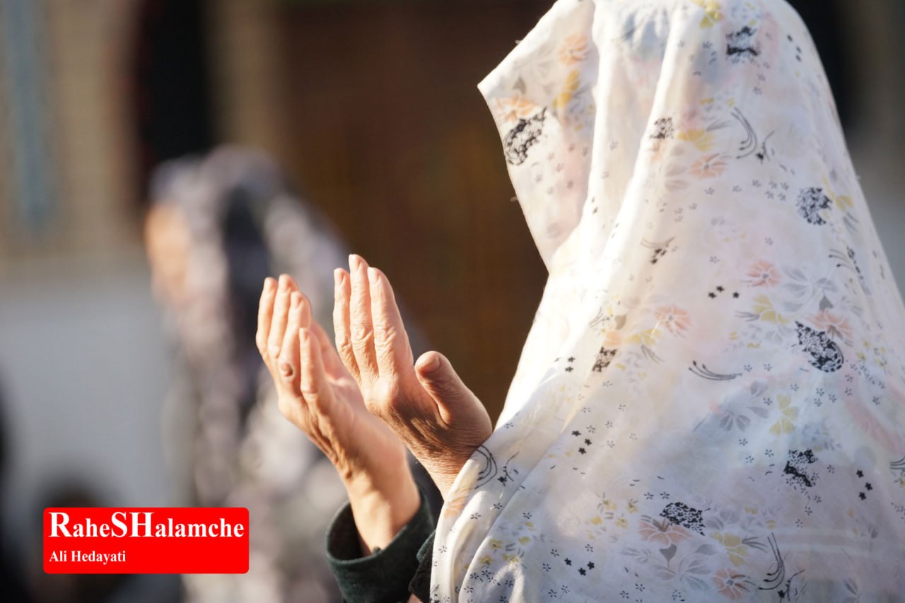 گزارش تصویری خبر - عکس 6