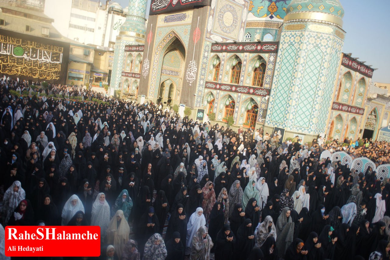 گزارش تصویری خبر - عکس 61