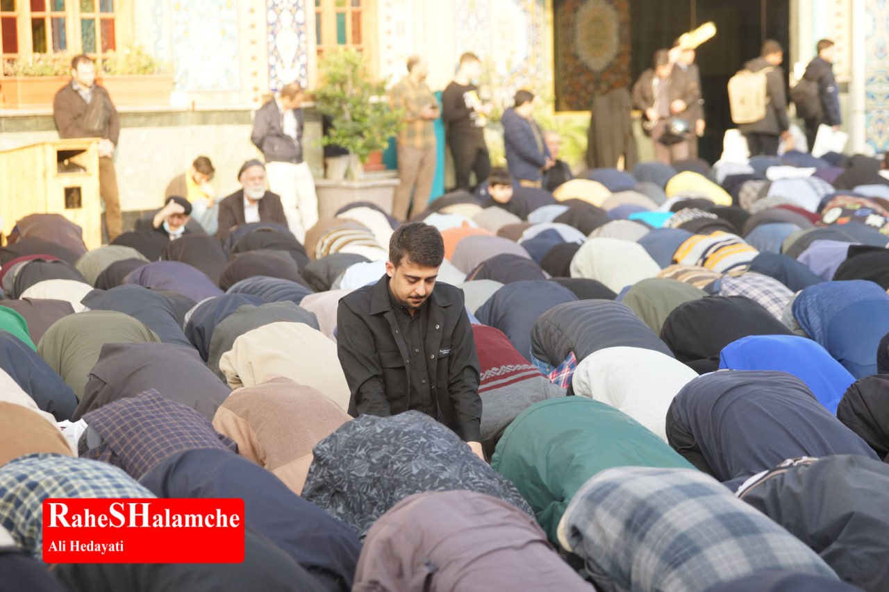 گزارش تصویری خبر - عکس 66