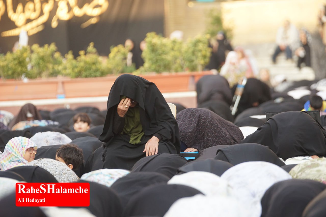 گزارش تصویری خبر - عکس 71