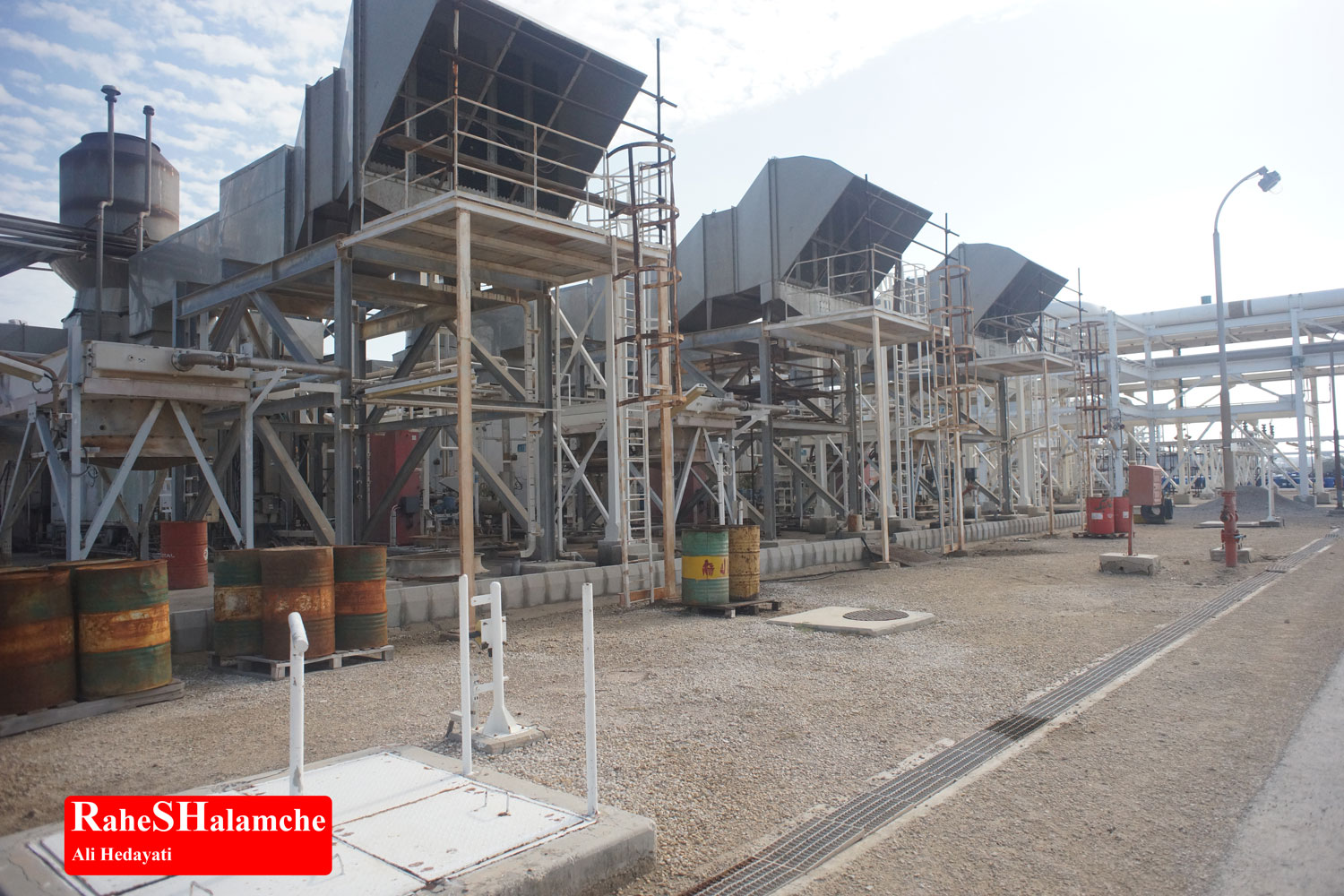 تمرین ارکستر - تصویر 104