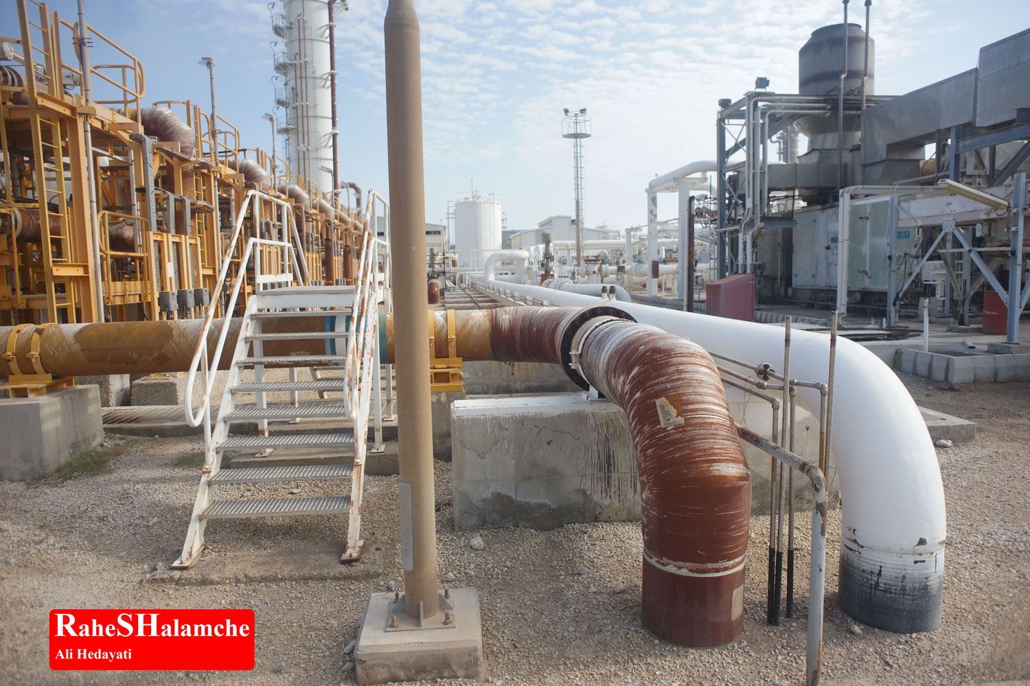 تمرین ارکستر - تصویر 105