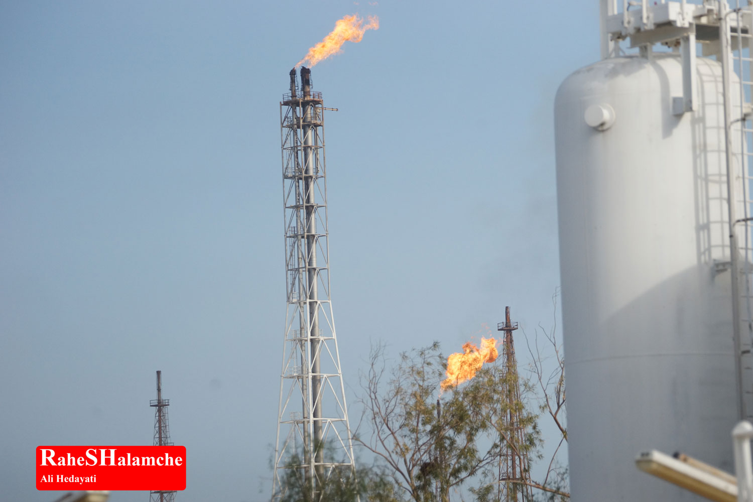 تمرین ارکستر - تصویر 107