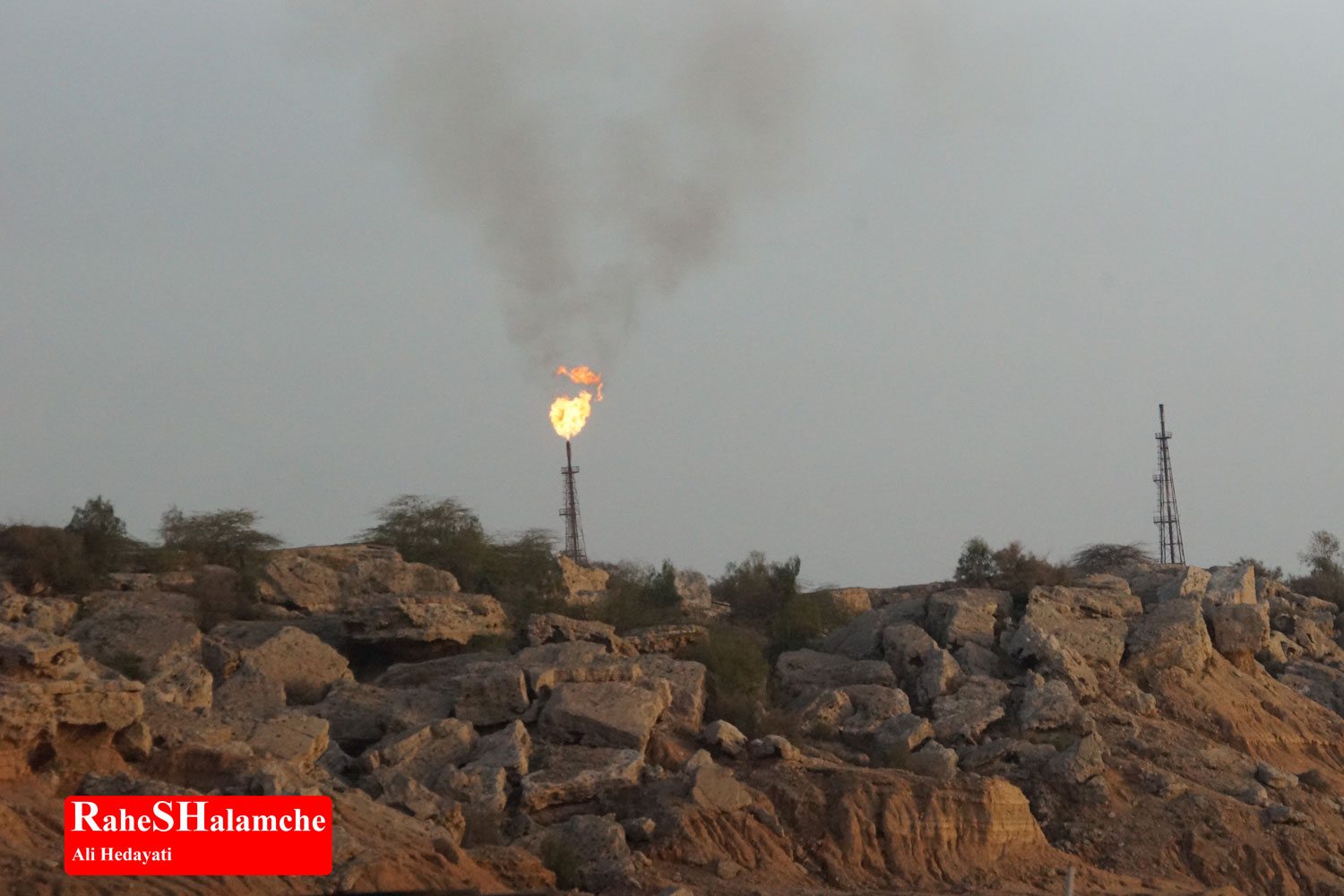 تمرین ارکستر - تصویر 31