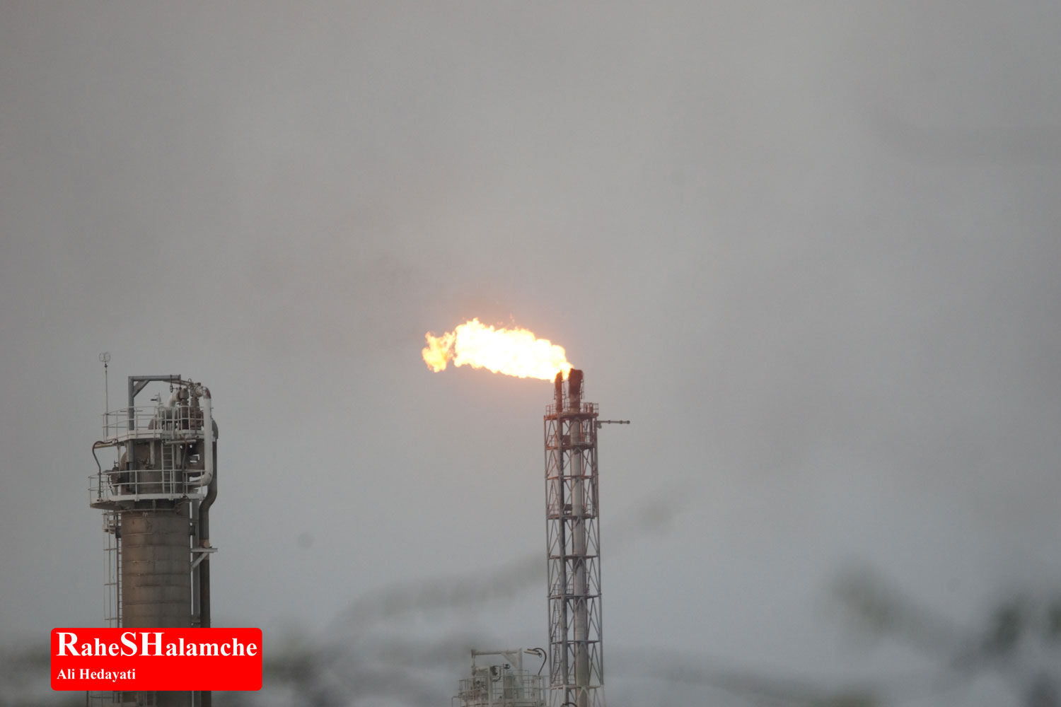 تمرین ارکستر - تصویر 34