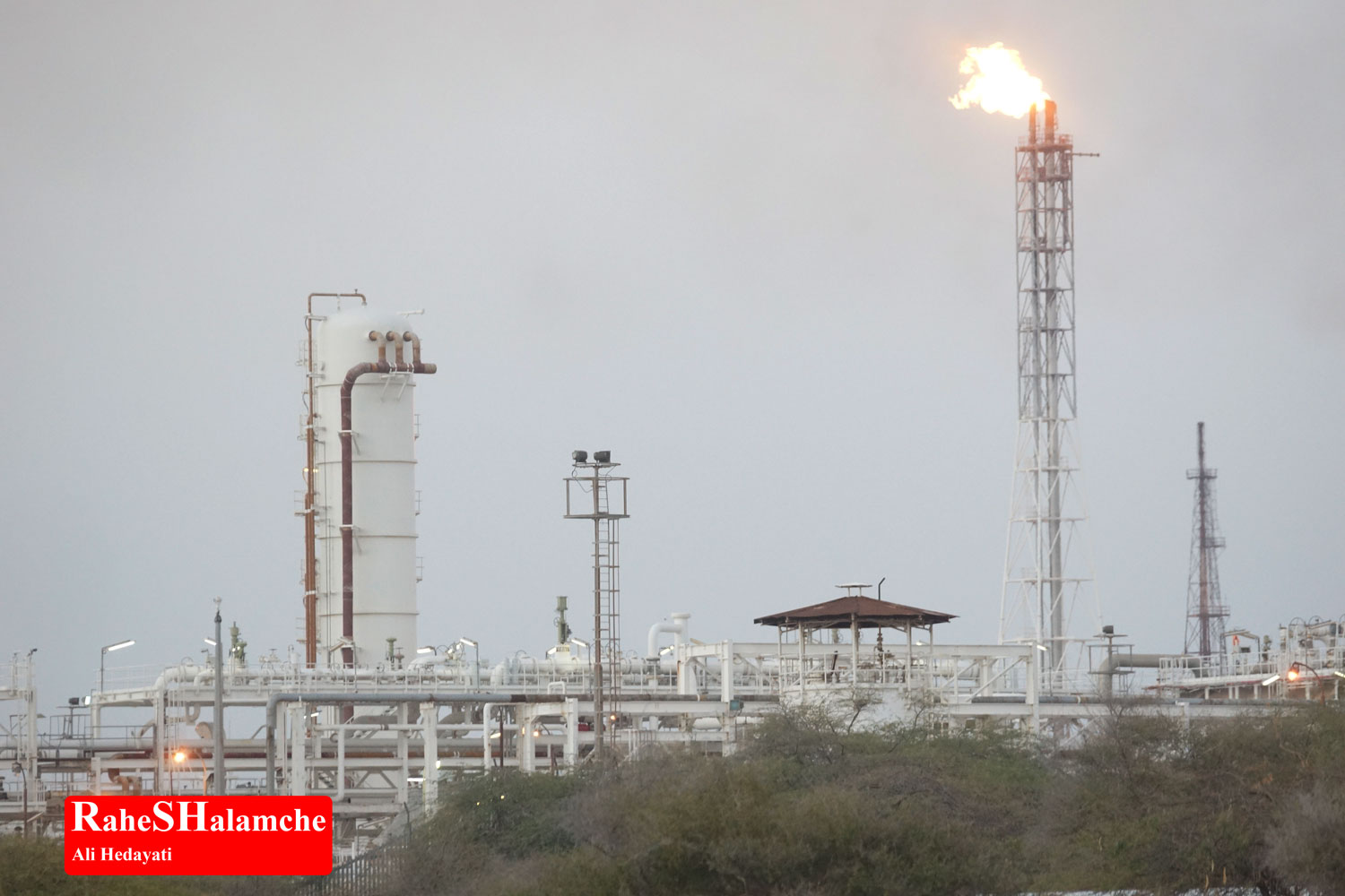 تمرین ارکستر - تصویر 35