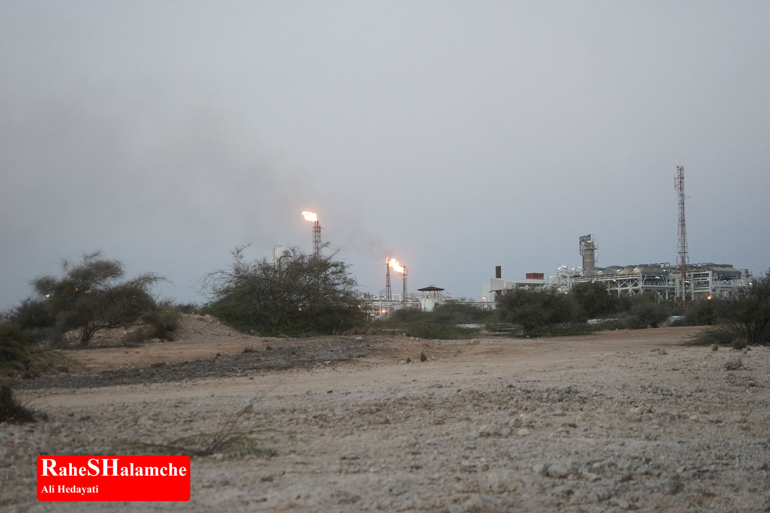 تمرین ارکستر - تصویر 36