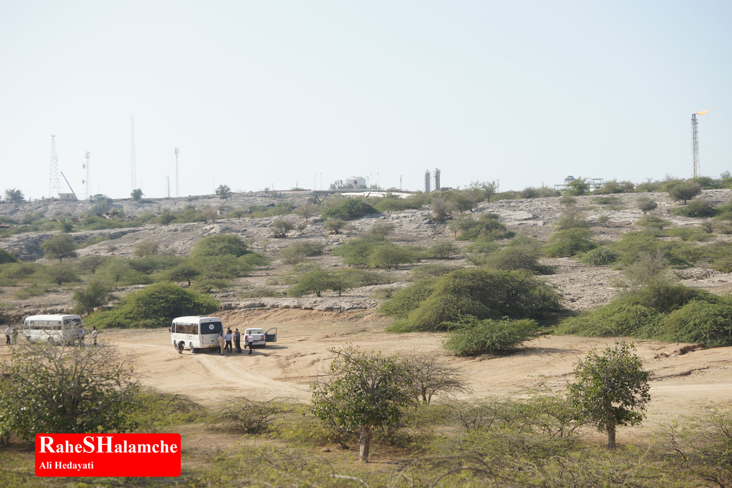 تمرین ارکستر - تصویر 50