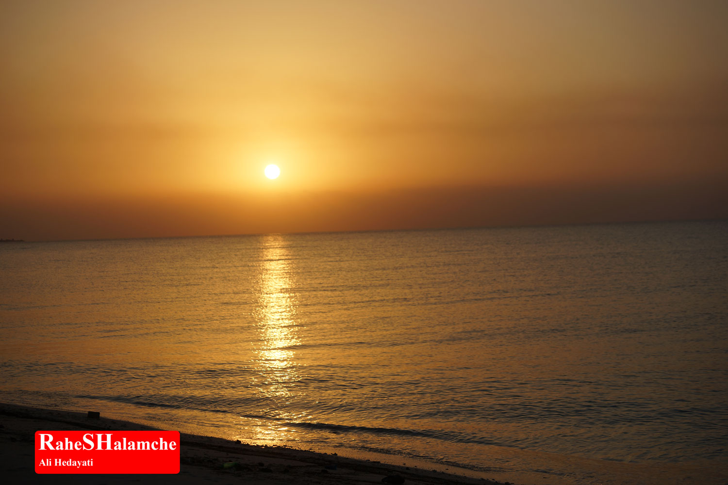 تمرین ارکستر - تصویر 72