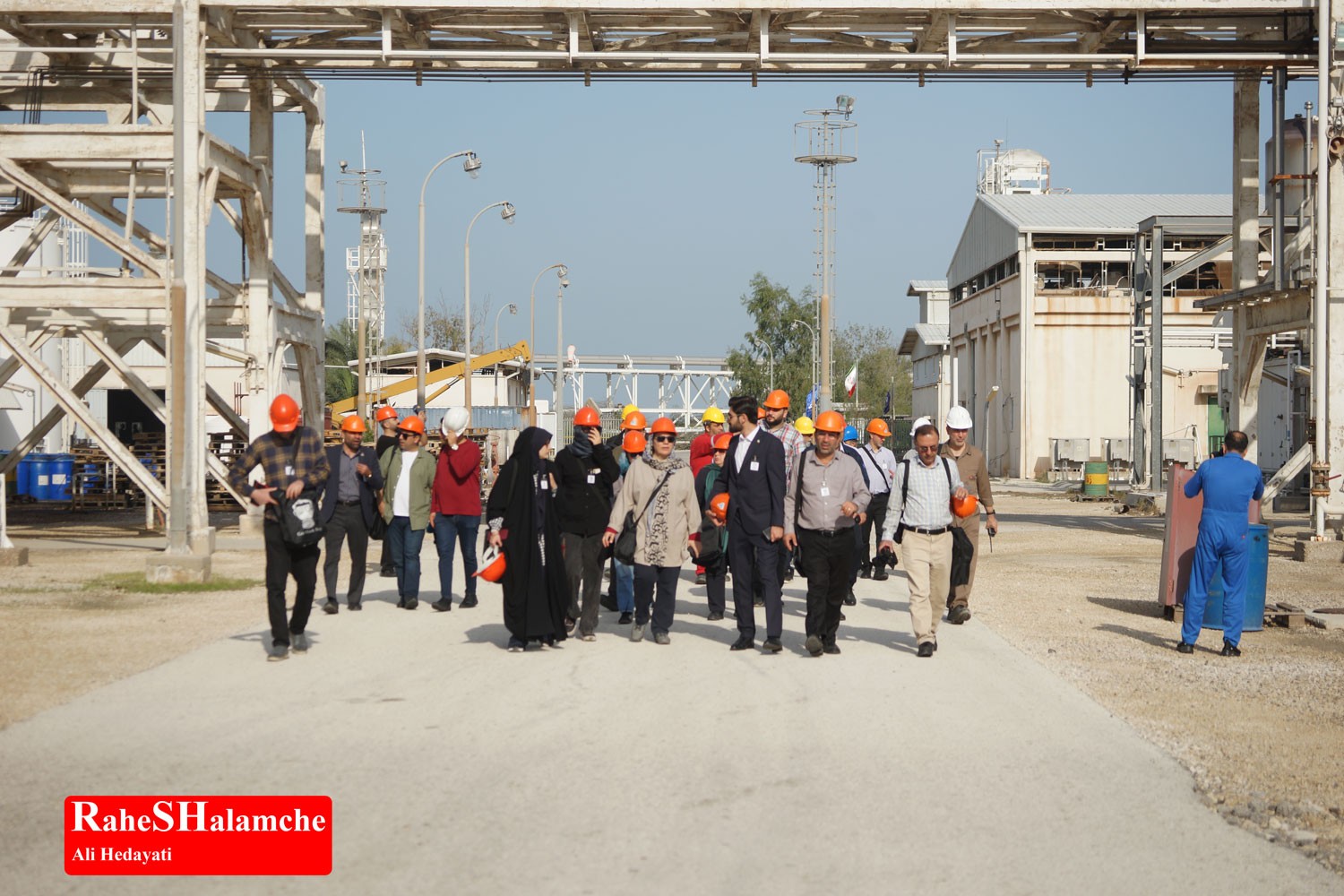 تمرین ارکستر - تصویر 81