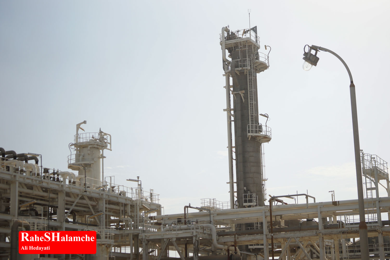 تمرین ارکستر - تصویر 92