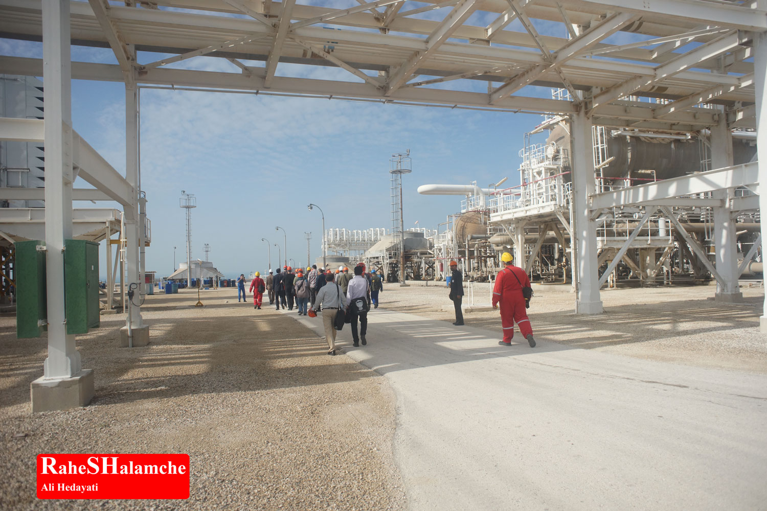 تمرین ارکستر - تصویر 97