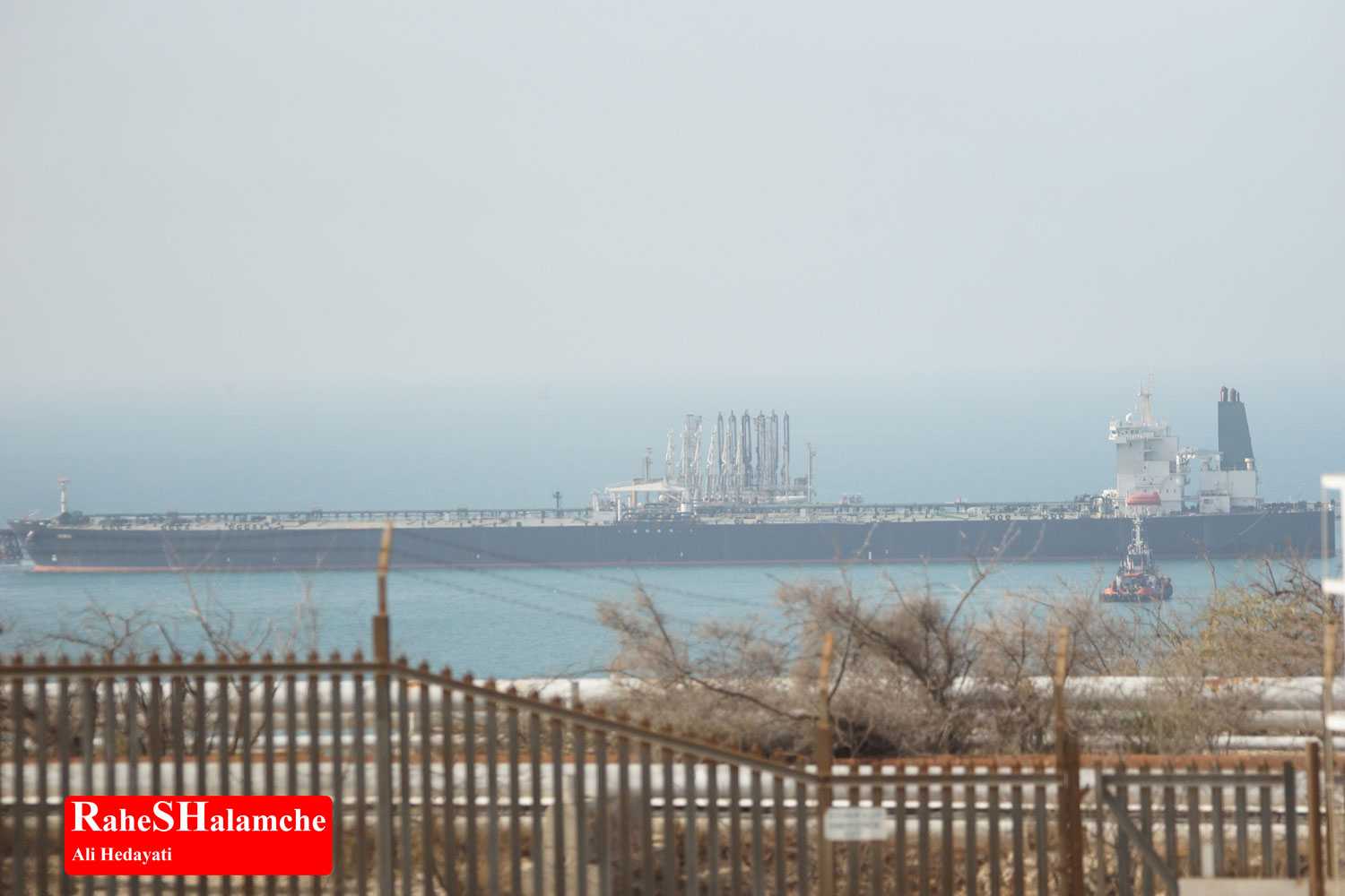 تمرین ارکستر - تصویر 98